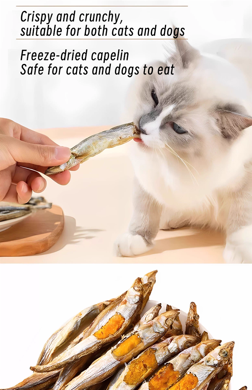 Freeze Dried Capelin Fish omega-3 fatty acids healthy skin, coat, and joint health.