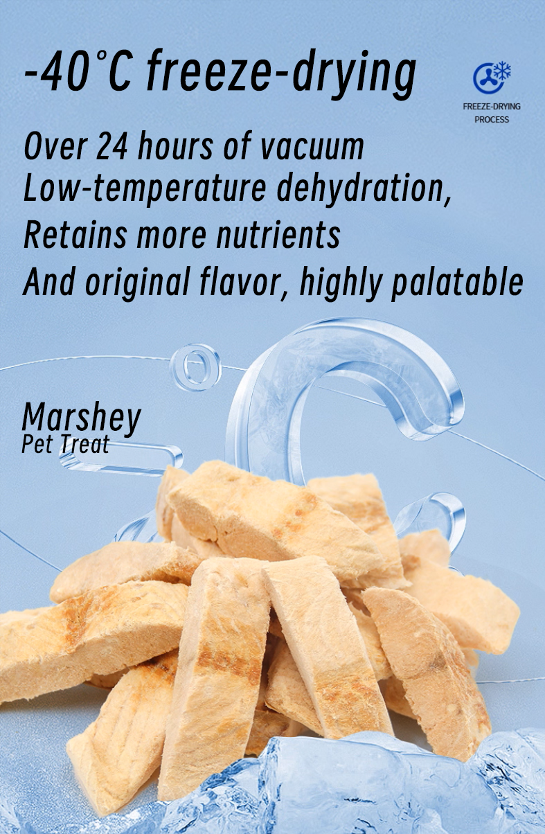 Premium Freeze-Dried Salmon Bites for Dogs & Cats – High Protein, Omega-3 Rich, All-Natural Pet Treats