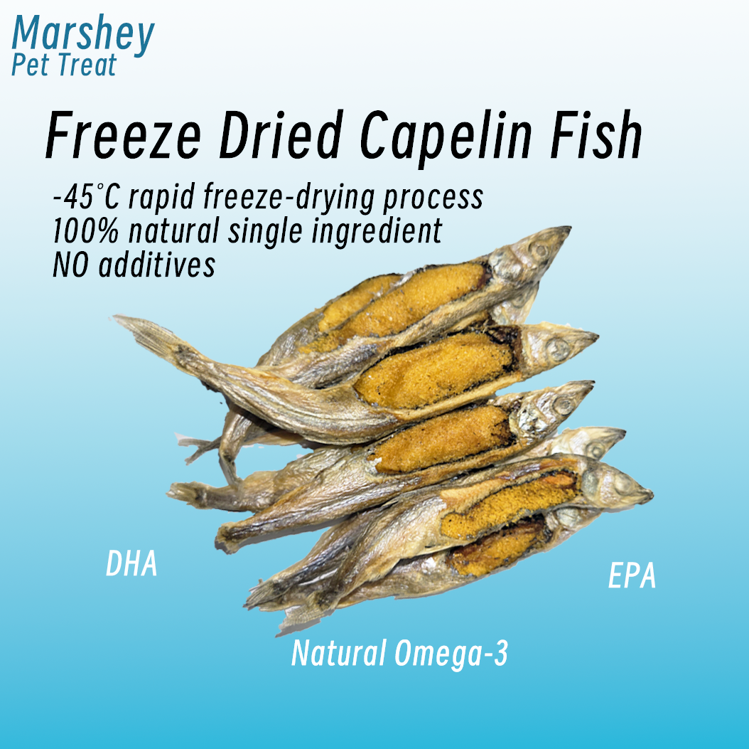 Freeze Dried Capelin Fish omega-3 fatty acids healthy skin, coat, and joint health.