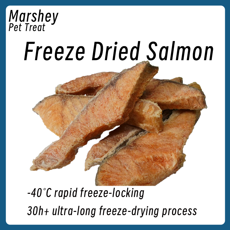 Premium Freeze-Dried Salmon Bites for Dogs & Cats – High Protein, Omega-3 Rich, All-Natural Pet Treats