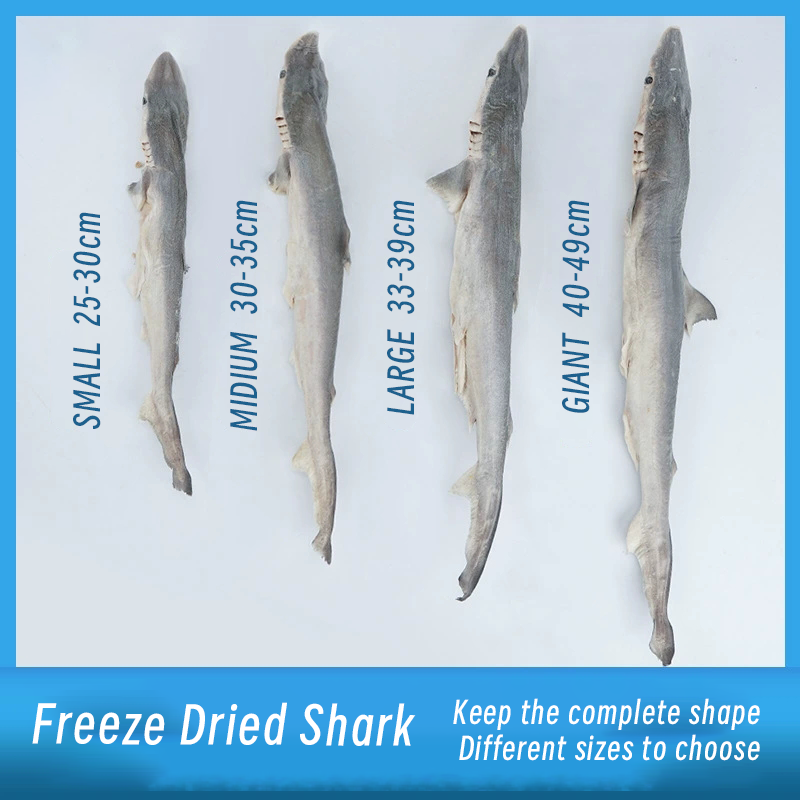 Freeze dried  shark pet snack dental health support Joint