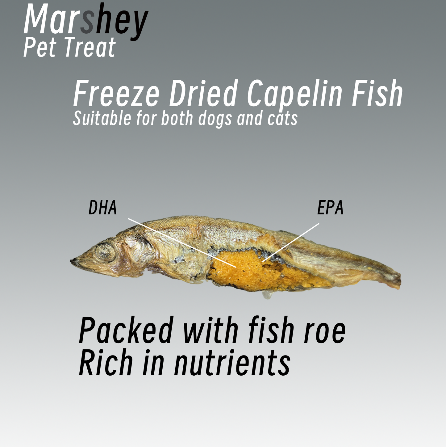 Freeze Dried Capelin Fish omega-3 fatty acids healthy skin, coat, and joint health.