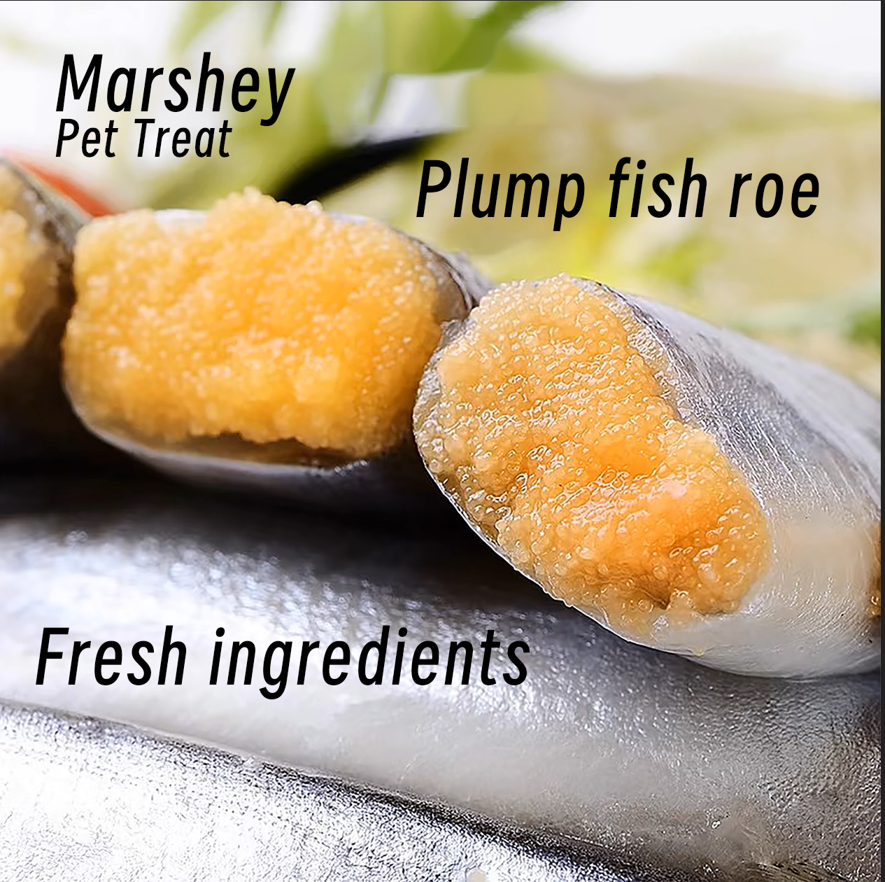 Freeze Dried Capelin Fish omega-3 fatty acids healthy skin, coat, and joint health.